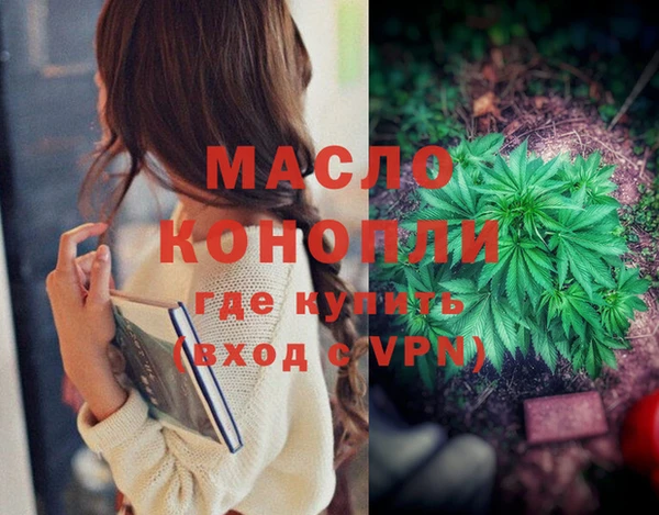 молекула духа Семёнов