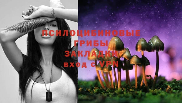 молекула духа Семёнов