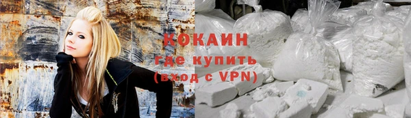 молекула духа Семёнов