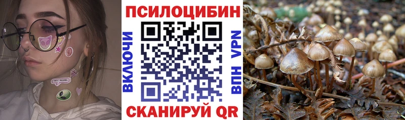 Галлюциногенные грибы прущие грибы  Сольвычегодск 