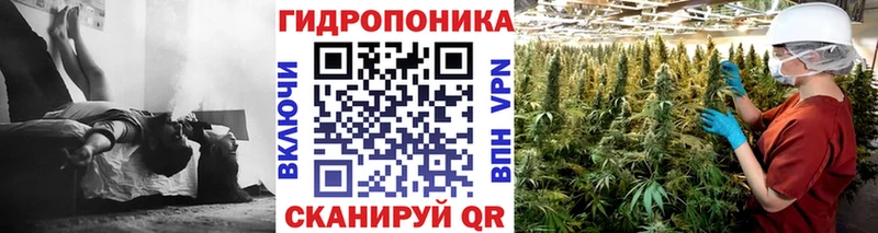 Канабис гибрид Сольвычегодск